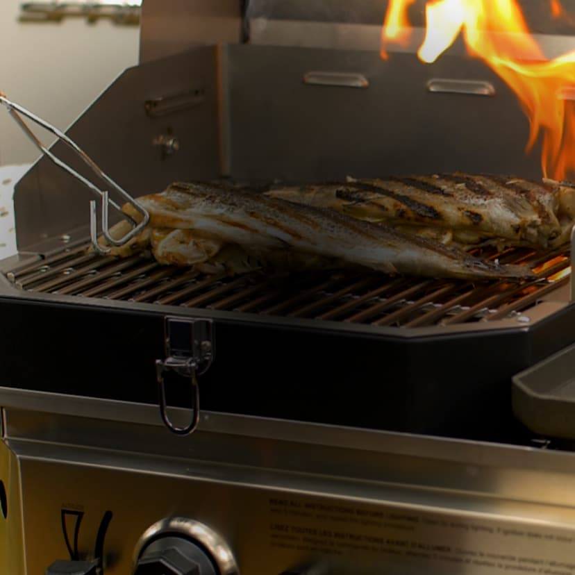 Magma Crossover Cooking System : BBQGuys